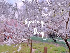 -国家植物园南园