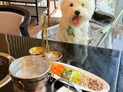 -西安浐灞艾美酒店·汉江餐厅·火锅