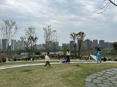 -重庆平顶山公园