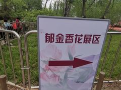-北京植物园南门售票处