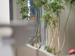 -M Stand(深圳湾后海汇店)