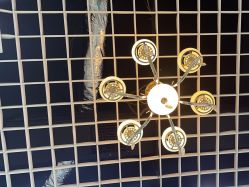 -蕾特恩专业祛痘国际连锁