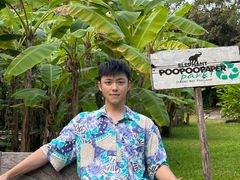 -大象粑粑造纸公园