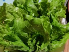 -额尔敦传统涮(光明路店)