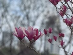 -人民广场