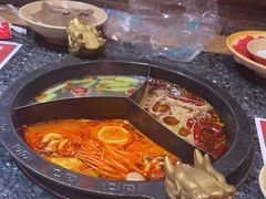 -蜀大侠火锅(森兰花园城店)