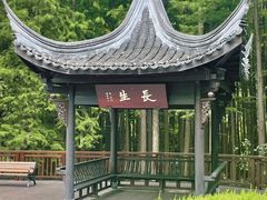 -青山湖景区