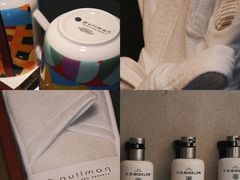 -南京禄口机场雅高铂尔曼大酒店