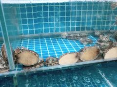 -宾朋海鲜饭庄(兴海路店)