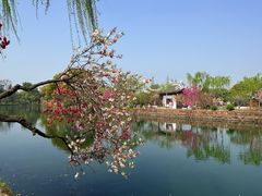 -无锡蠡湖国家湿地公园-蠡园