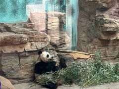 -石家庄市动物园