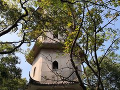 -江心屿景区