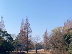 -上海滨江森林公园