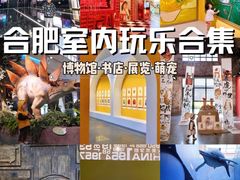 -安徽省地质博物馆