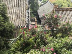 -潭柘寺景区