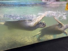 -苏州海洋馆