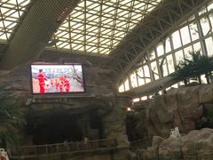 -杭州开元森泊度假乐园