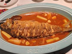 -阿五黄河大鲤鱼(英协路店)