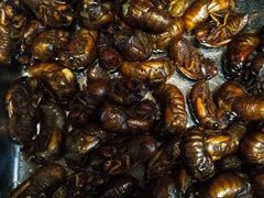 -昆虫窝子·特色云南菜(拓东路总店)