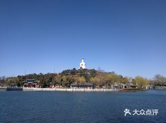 柳树开始发芽了，迎春花开了