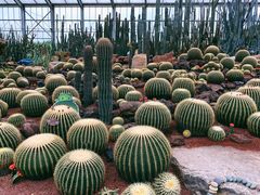 -南通洲际绿博园