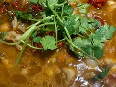 -陈厨(新苑小区店)