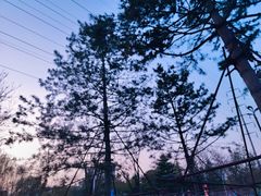 -汉长安城未央宫国家考古遗址公园