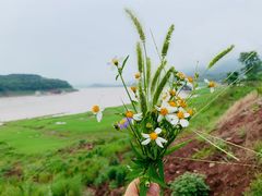 -美心红酒小镇游乐园