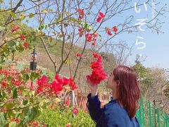 -小南山公园
