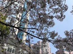 -玛格萝妮比萨屋(四平店)