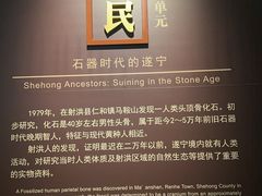 -四川宋瓷博物馆