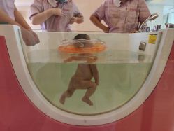 -喜宝母婴月子会所