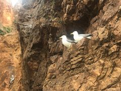 -海驴岛(荣成市)