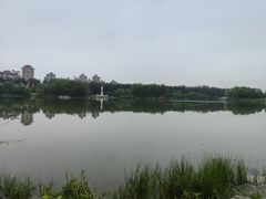 -马家湾湿地公园