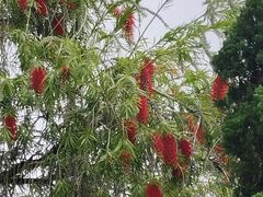 -圣弥额尔小堂