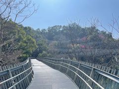 -福道