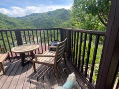 -Local泰莲庭(虹鳟鱼店)