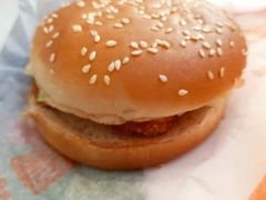 -汉堡王(高坪王府井店)