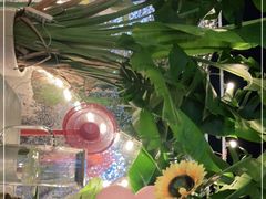 -天空花园餐吧·生日·团建(南山店)