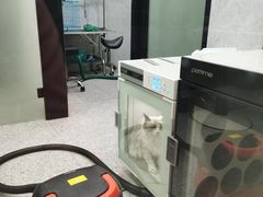 -四月宠物医院·猫专科·心脏专科·内科(转塘店)