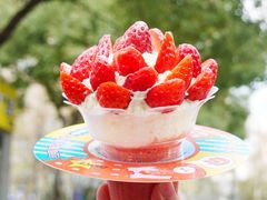 绵绵雪顶篝火杯-伏小桃(明瓦廊店)