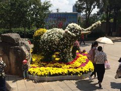 -昆明动物园