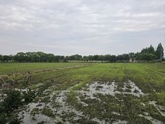 -嘉北郊野公园