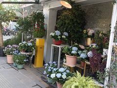 -溪岸路花鸟市场