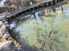 -天毓山庄·餐厅