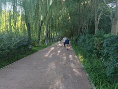 -大兴滨河森林公园