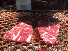-火炉火自助餐(枫蓝国际店)