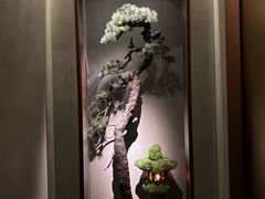 -觀芷隐轩