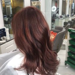 -潘多拉Hairsalon