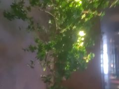 -唐宫足道·SPA·住宿24H会所(木渎店)
